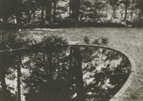 Pond in Darkened Garden