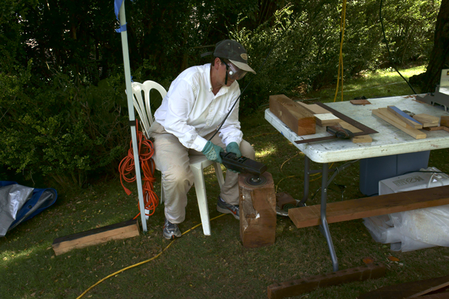 Lucretia sanding stumps