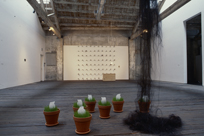 Suyama Space installation view